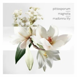 Hermès Hermes Un Jardin Sur La Lagune Eau De Toilette Spray -Cosmetica Promotiewinkel 1013534 4