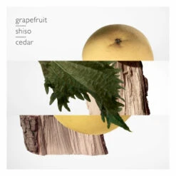 Hermès Hermes Terre Du0027Hermes Eau De Parfum Spray -Cosmetica Promotiewinkel 1013551 4