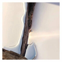 Hugo Boss Alive Eau De Parfum Spray -Cosmetica Promotiewinkel 1037889 4