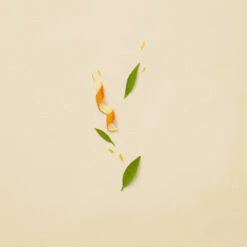 Gucci Guilty Pour Femme Eau De Parfum Spray -Cosmetica Promotiewinkel 1044330 5