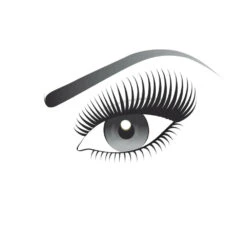 L'Oreal Lu0027Oréal False Lash Architect 4D Waterproof Zwart Mascara 7 L'Oreal Lu0027Oréal False Lash Architect 4D Waterproof Zwart Mascara -Cosmetica Promotiewinkel 969133 3